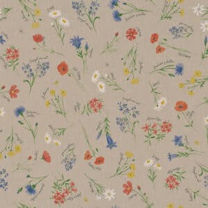 Linnenlook alpine flower field