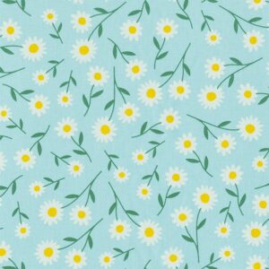 Half panama daisy sweet field