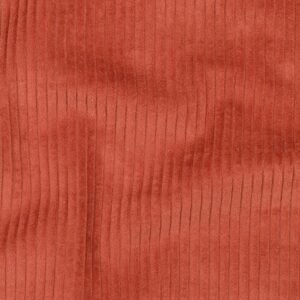 Washed corduroy 4.5W terra