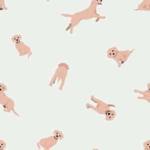 Qjutie - Flanel honden offwhite