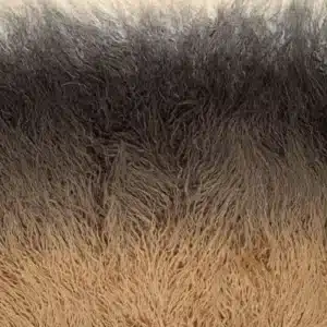 Langharige fur