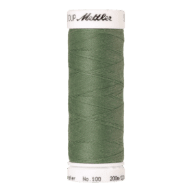 Amann Mettler – Seralon naaigaren 200m - 0646 Palm Leaf