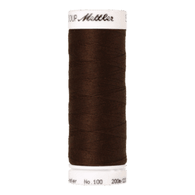 Amann Mettler – Seralon naaigaren 200m - 0975 Apple Seed