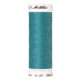 Amann Mettler – Seralon naaigaren 200m - 1440 Montain Lake