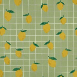 Coated canvas fruit/ruiten groen